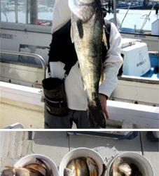 来温丸(らいおんまる) 釣果