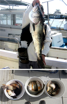 来温丸（らいおんまる） 釣果