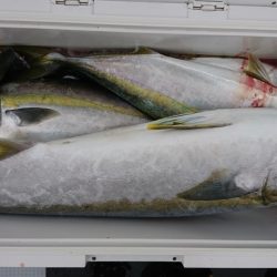 海龍丸(福岡) 釣果