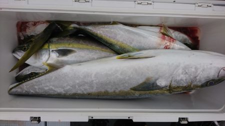 海龍丸(福岡) 釣果