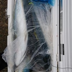 海龍丸(福岡) 釣果