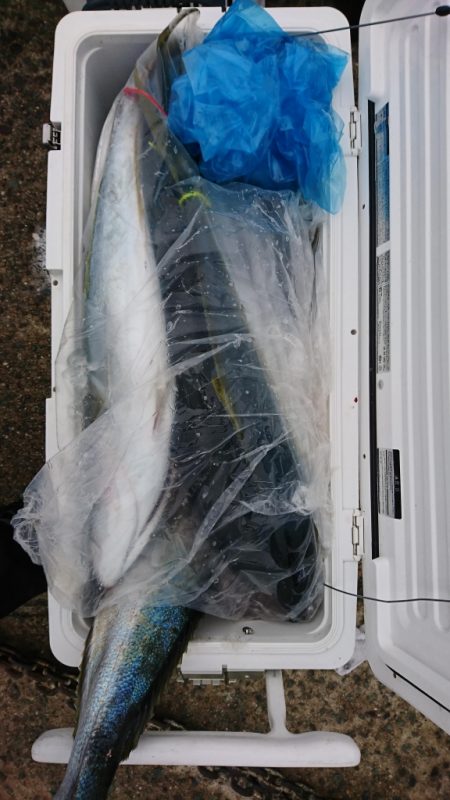 海龍丸(福岡) 釣果