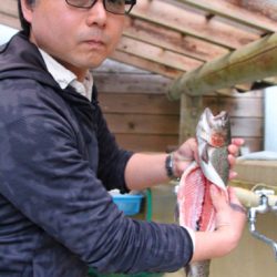 小菅トラウトガーデン 釣果