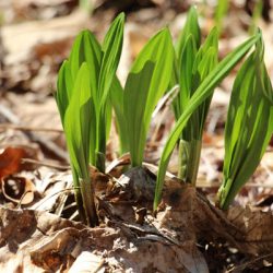小菅トラウトガーデン 釣果