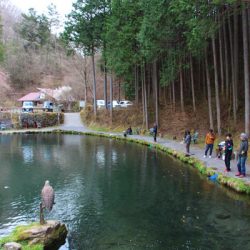 小菅トラウトガーデン 釣果