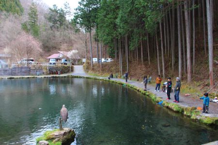 小菅トラウトガーデン 釣果