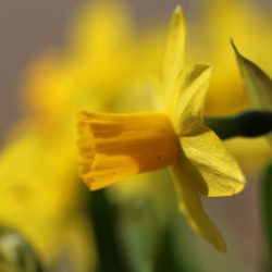 小菅トラウトガーデン 釣果