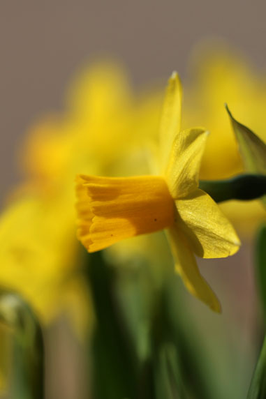 小菅トラウトガーデン 釣果