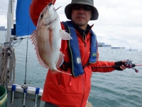 遊漁船 幸友丸 釣果