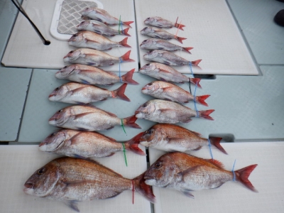 遊漁船 幸友丸 釣果