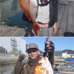 来温丸(らいおんまる) 釣果