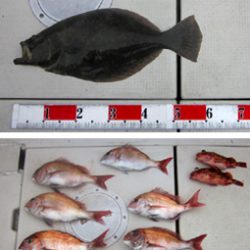 来温丸(らいおんまる) 釣果