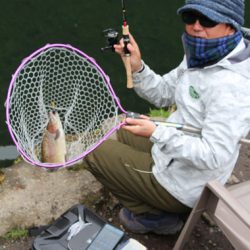 小菅トラウトガーデン 釣果