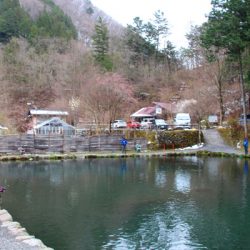 小菅トラウトガーデン 釣果