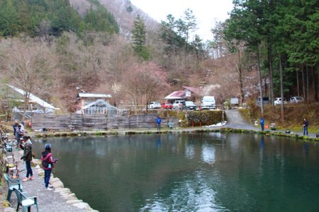 小菅トラウトガーデン 釣果