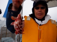 遊漁船 幸友丸 釣果