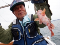 遊漁船 幸友丸 釣果