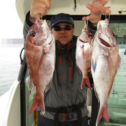 松本釣船２ 釣果