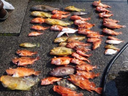 第二一之紀丸(ダイニイチノキマル) 釣果