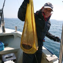 たかみ丸 釣果