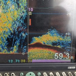 遊漁船 ニライカナイ 釣果