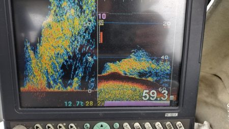 遊漁船 ニライカナイ 釣果