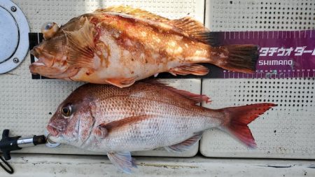 遊漁船　ニライカナイ 釣果