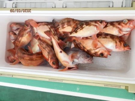 第二むつ漁丸 釣果