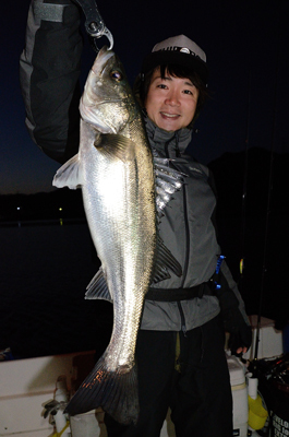 Marine T Design　マリンティ…