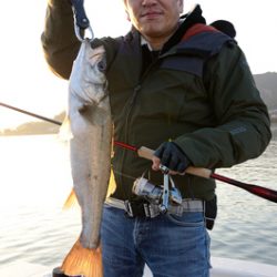 Marine T Design　マリンティーデザイン 釣果