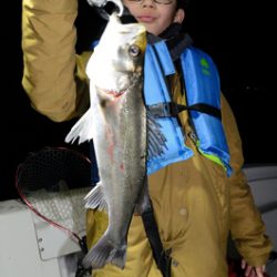 Marine T Design マリンティーデザイン 釣果