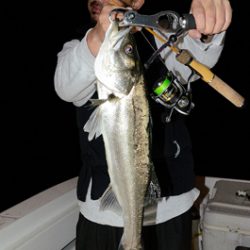 Marine T Design マリンティーデザイン 釣果