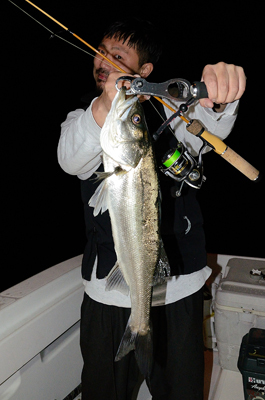 Marine T Design マリンティーデザイン 釣果