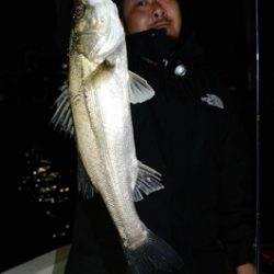 Marine T Design マリンティーデザイン 釣果