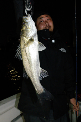 Marine T Design マリンティーデザイン 釣果