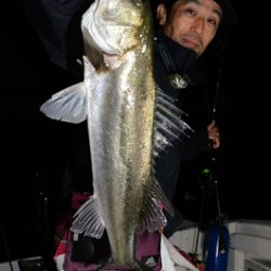 Marine T Design マリンティーデザイン 釣果