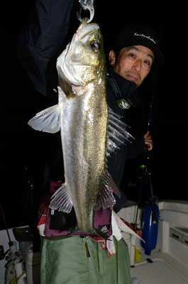 Marine T Design マリンティーデザイン 釣果