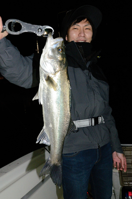 Marine T Design　マリンティ…