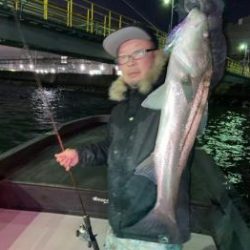 シーマジカル 釣果