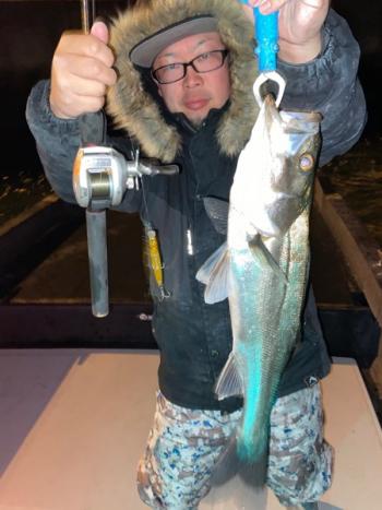 シーマジカル 釣果