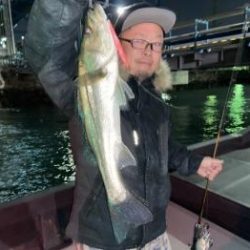 シーマジカル 釣果