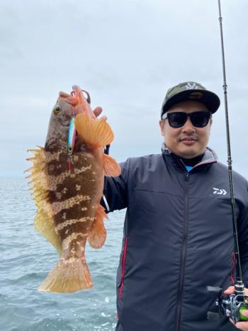 シーマジカル 釣果