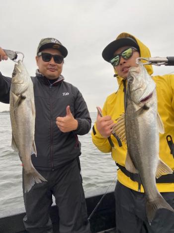 シーマジカル 釣果