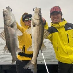 シーマジカル 釣果