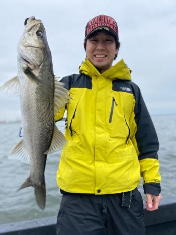 シーマジカル 釣果