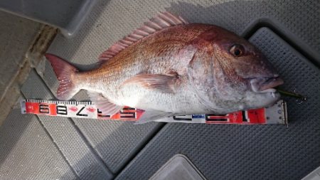 IDATEN（イダテン） 釣果