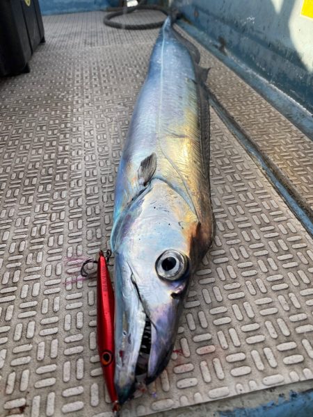 龍神丸(鹿児島) 釣果