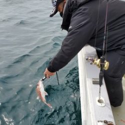 遊漁船 ニライカナイ 釣果