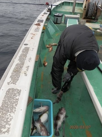 第二むつ漁丸 釣果