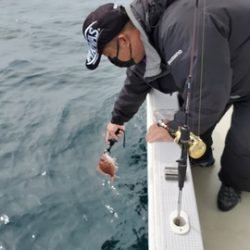 遊漁船 ニライカナイ 釣果